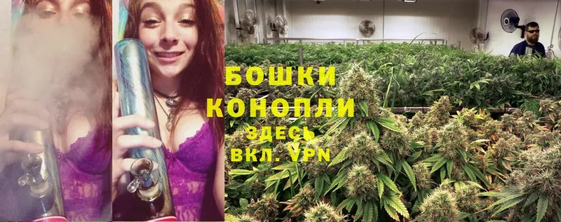 Канабис SATIVA & INDICA  omg ONION  Пошехонье 